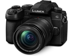 Panasonic LUMIX G95 Mirrorless Camera with LUMIX G Vario 12-60mm f-3.5-5.6 MFT Lens Bundle with 64GB Memory Card, Shoulder Bag, 58mm Filter Kit, Cleaning Kit
