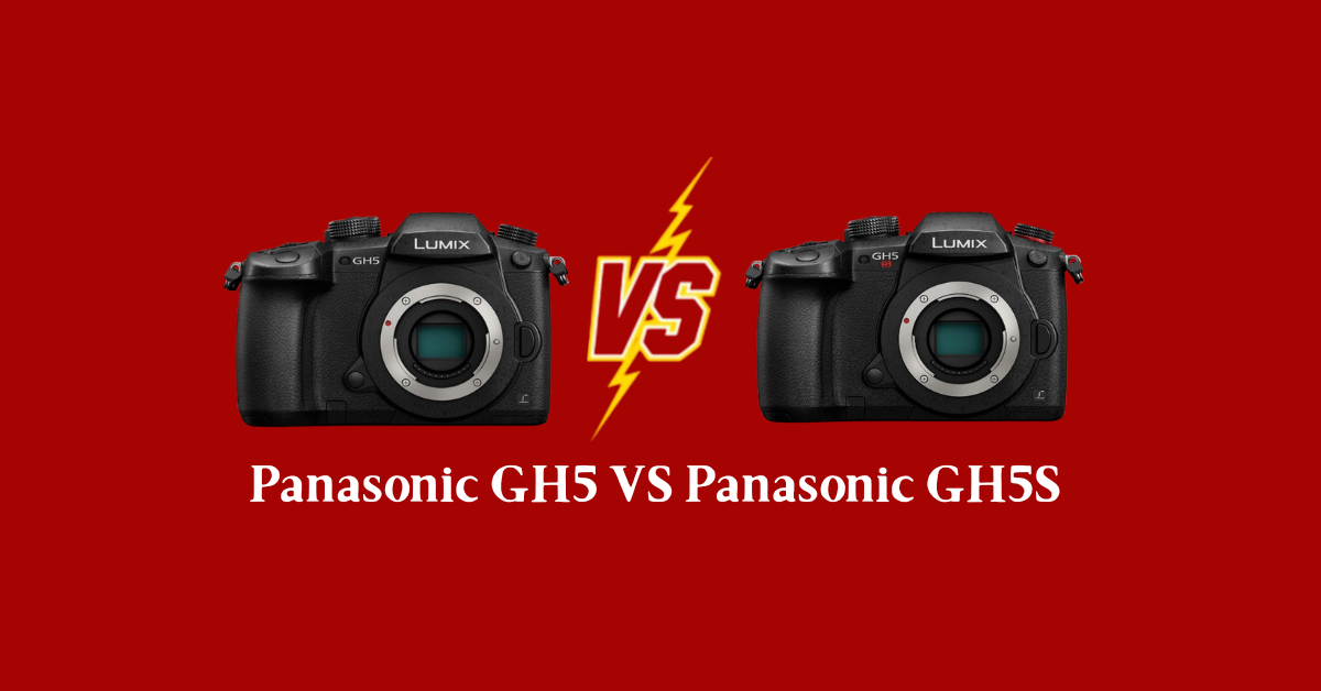 Panasonic GH5 VS Panasonic GH5S