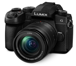 Panasonic LUMIX G95 Mirrorless Camera with LUMIX G Vario 12-60mm f-3.5-5.6 MFT Lens Bundle with 64GB Memory Card, Shoulder Bag, 58mm Filter Kit, Cleaning Kit