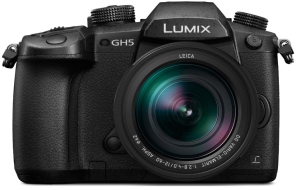 Panasonic LUMIX GH5 4K Mirrorless Camera with Lecia VARIO-Elmarit 12-60mm F2.8-4.0 Lens (DC-GH5LK)