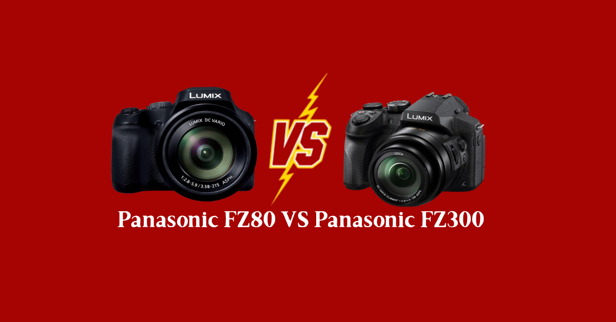 panasonic fz80 vs fz300