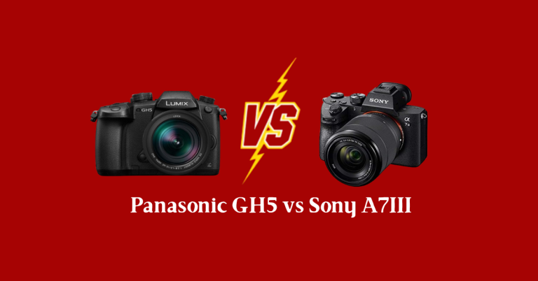 panasonic gh5 vs sony a7iii