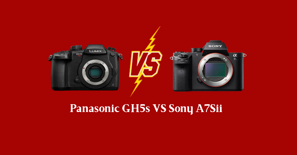 panasonic gh5s vs sony a7sii