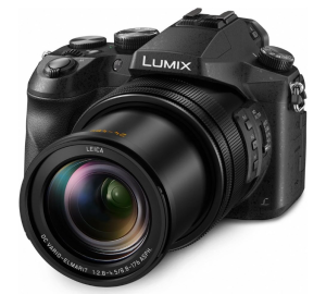 Sony RX10 IV vs Panasonic FZ2500 [Power Zoom Cameras Face Off]