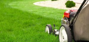 Cutting Height and Grass Conditions That Cause Stopping