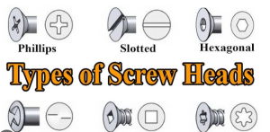 Screw Head Types Found on the DWS779