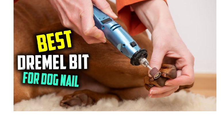 Best Dremel Bits for Dog Nails