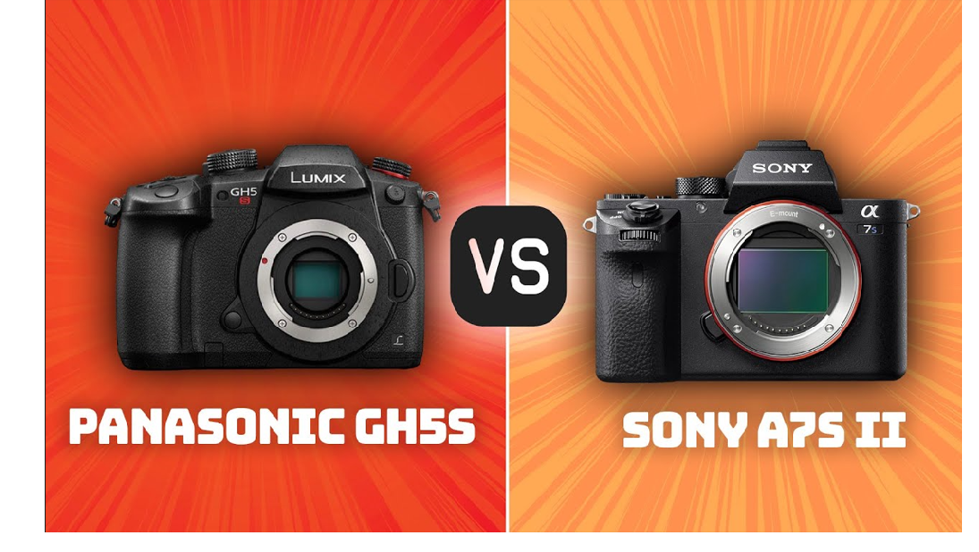 Panasonic GH5S vs Sony A7S II