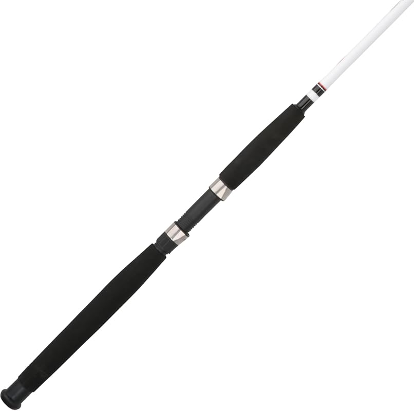 Berkley Big Game Spinning Fishing Rod – Strong & Reliable for Tough Ca