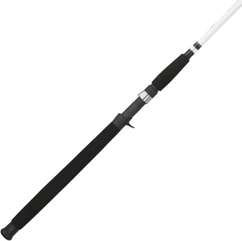 Berkley Big Game Casting Fishing Rod – Durable & Powerful for Big Fish