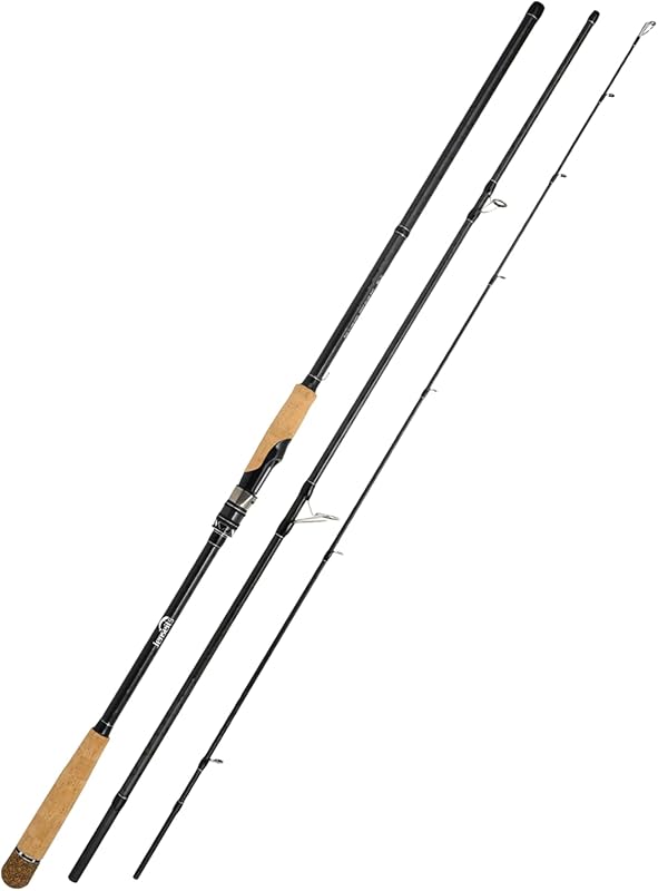 Jenseids 3-Piece Travel Carbon Fiber Surf Spinning Rod with Fast Actio